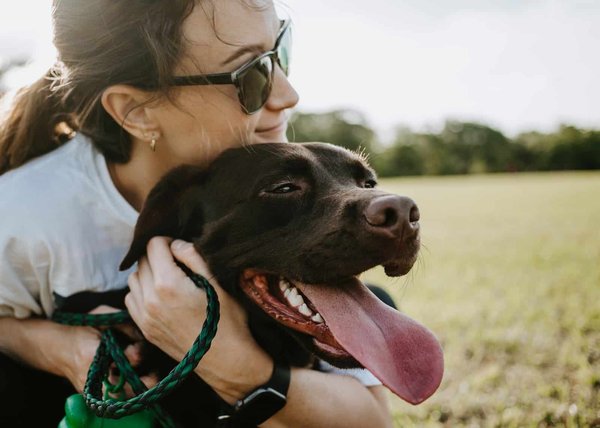 How to choose the right pet sitter?