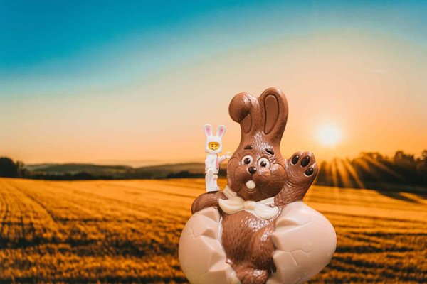 What are the best fruits and vegetables for rabbits?