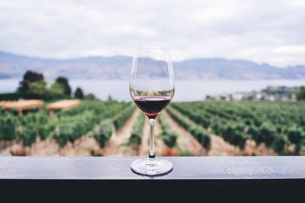 What are the top design tips for a home wine cellar?