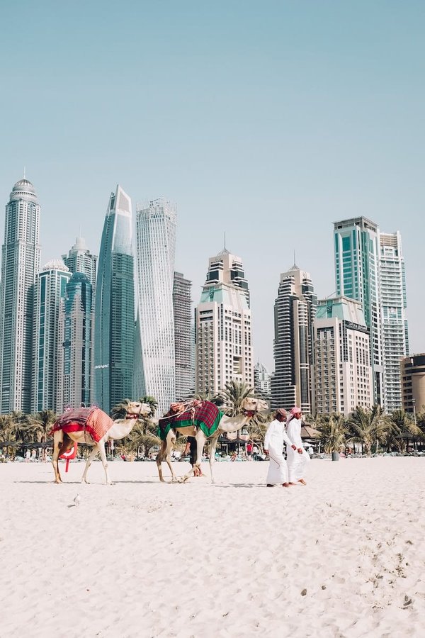 What are the risks of investing in international real estate?